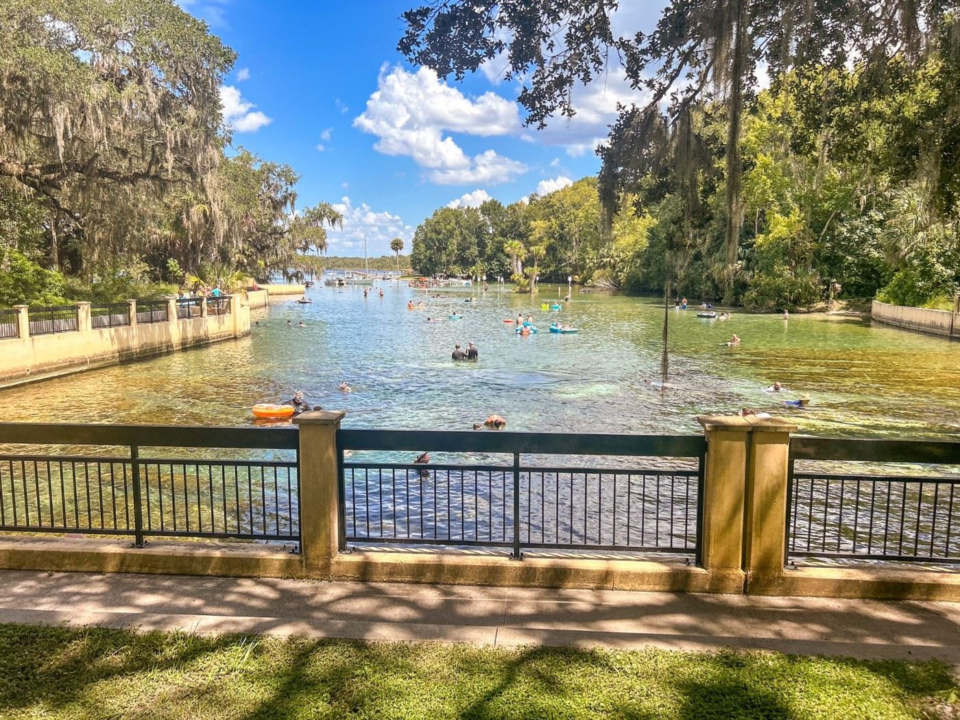 Northeast Florida residential scene