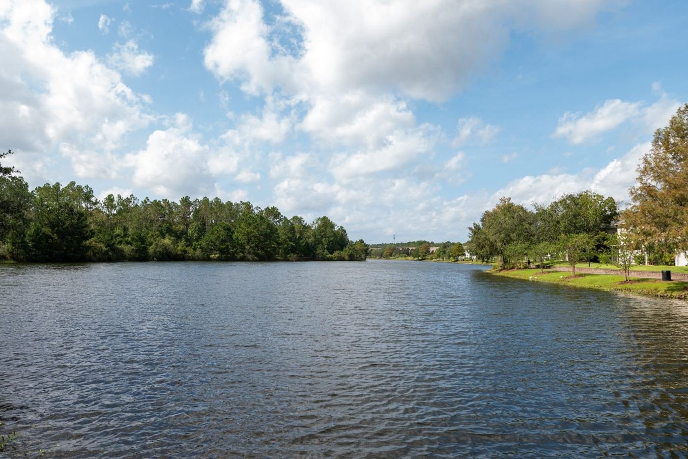 Northeast Florida residential scene