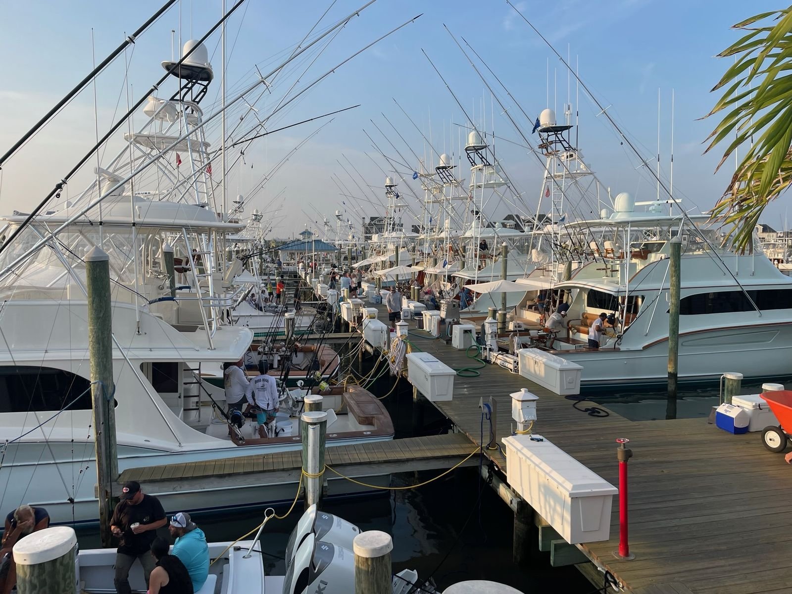 A row of sportfishing boats along a marina dock